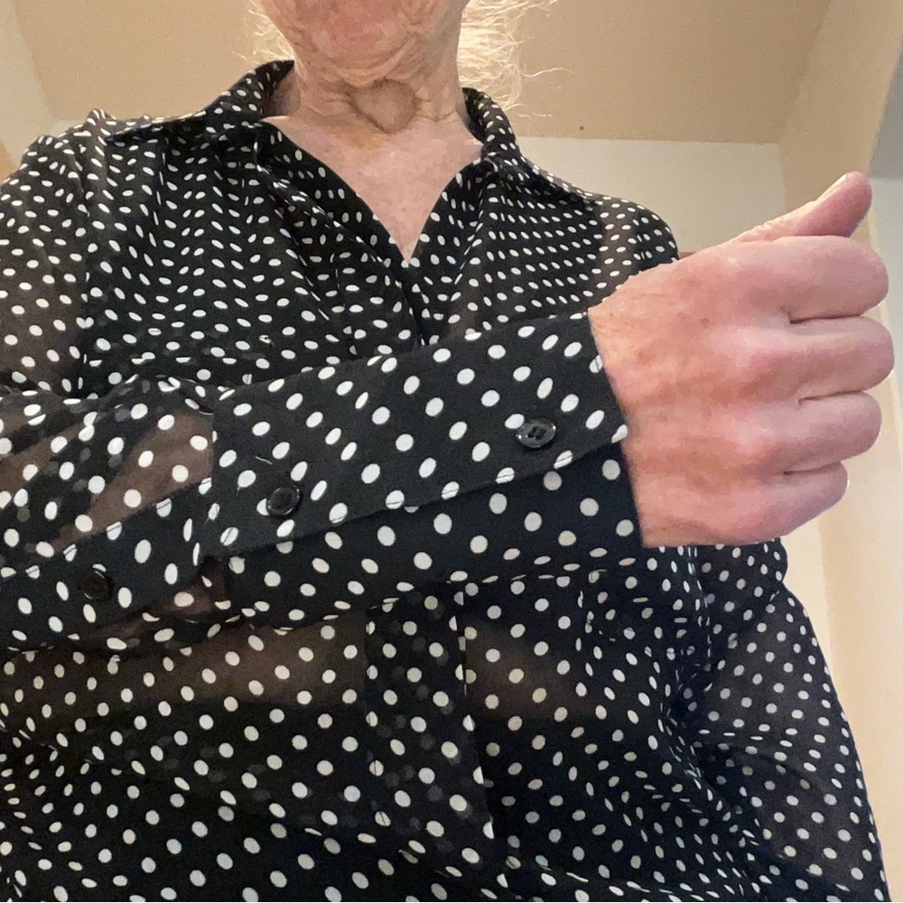 Tea n Rose sheer polka dot blouse.